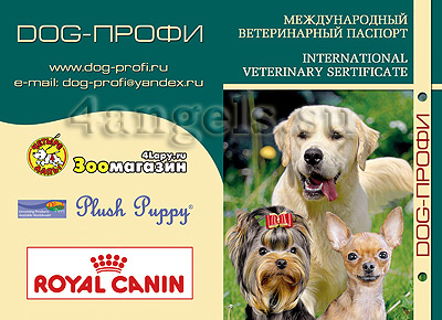 International Veterinary Sertificate
