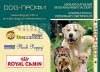 International Veterinary Sertificate