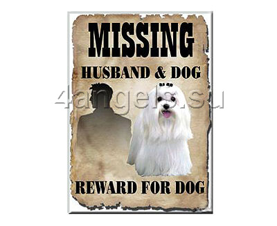 Магнит "Maltese Missing"