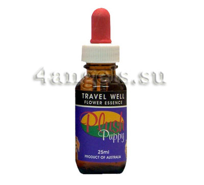 Travel Well Flower Essence Drops